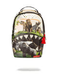 SERENGETI SHARK