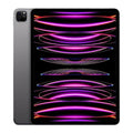 Unlocked Apple 12.9" iPad Pro 6th Gen Wi-Fi+Cell - 256GB - Gray - MP603LL/A