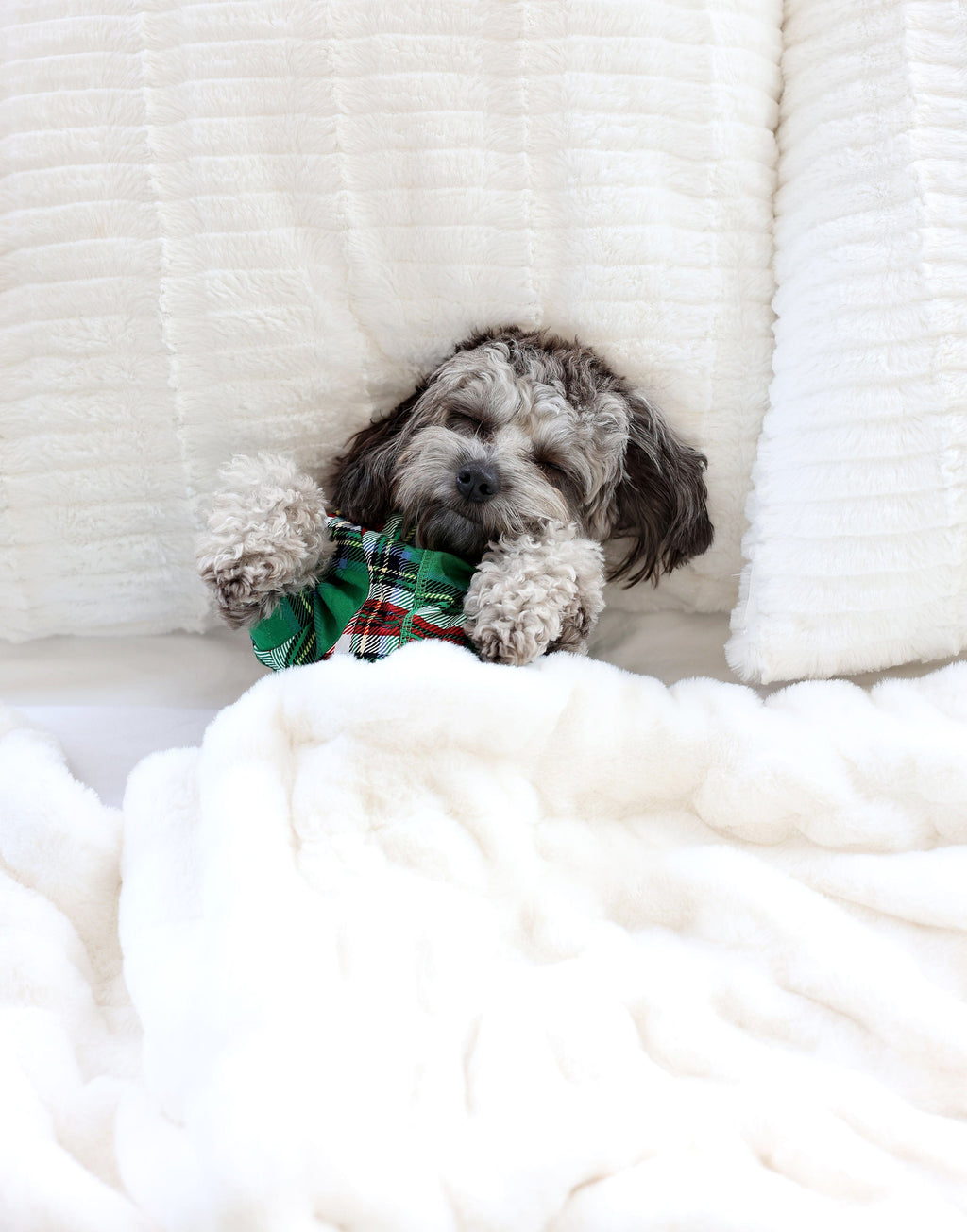 Pet Pajamas - Christmas Plaid Green