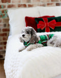 ?? Pet Pajamas - Christmas Plaid Green (100% off)