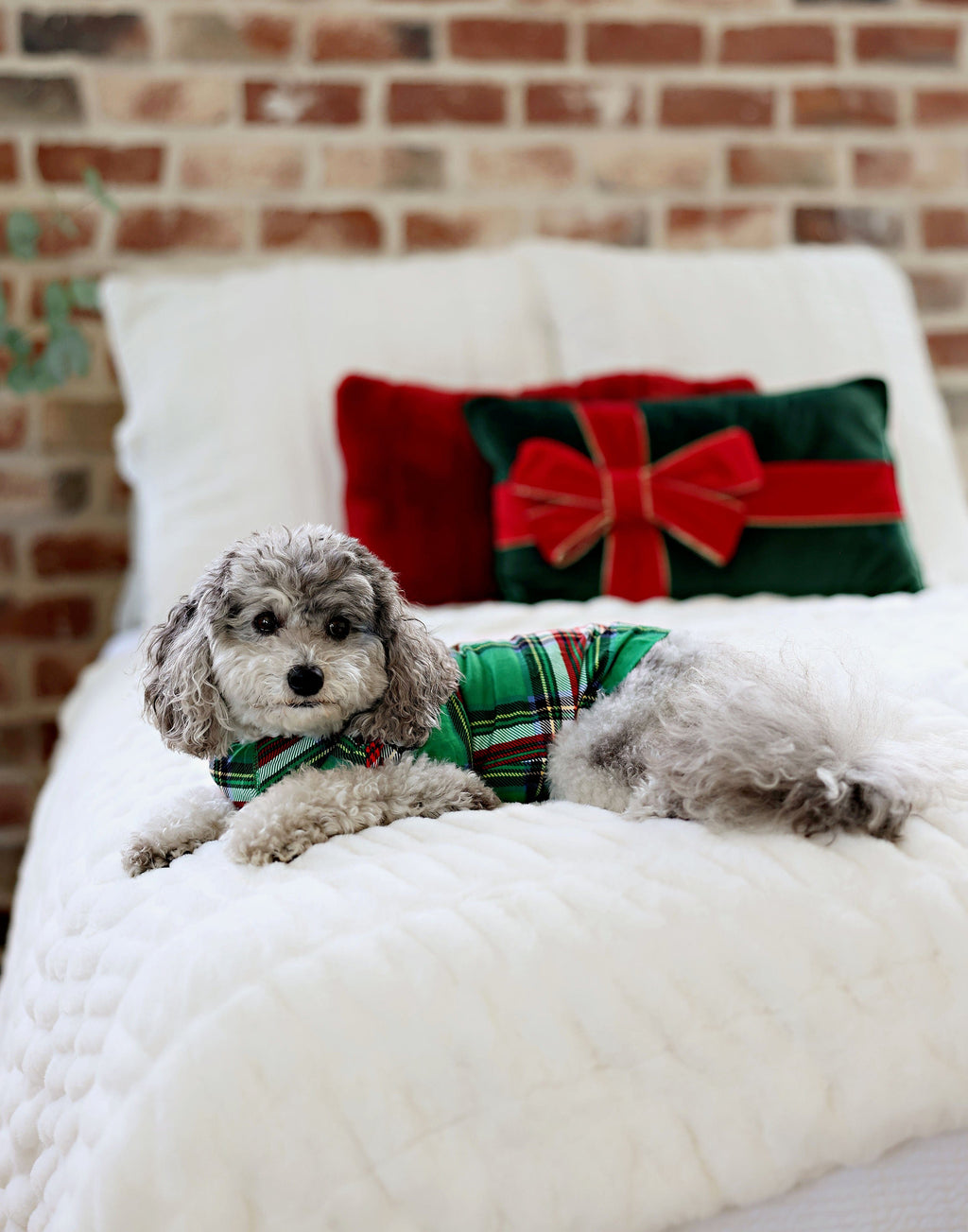 Pet Pajamas - Christmas Plaid Green