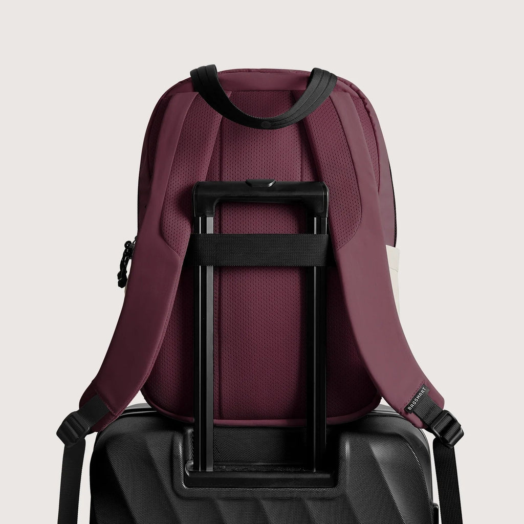 Paz 23L Backpack